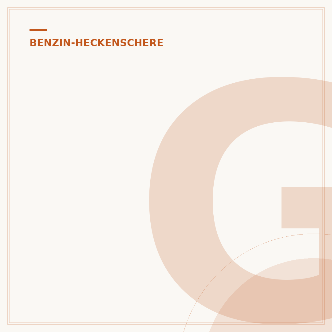 Gebrauchte Benzin-Heckenschere