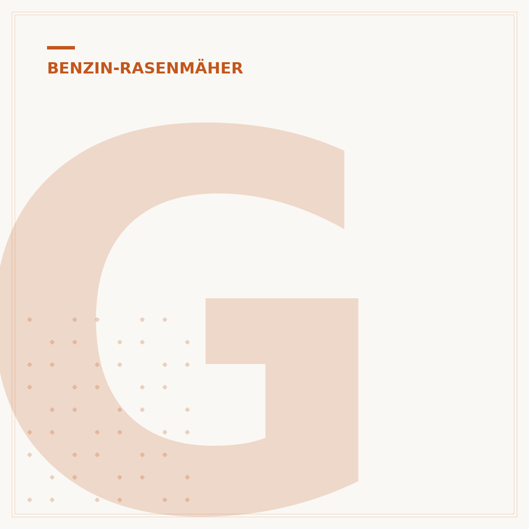Gebrauchte Benzin Rasenmäher: Kaufberatung & Prüfliste