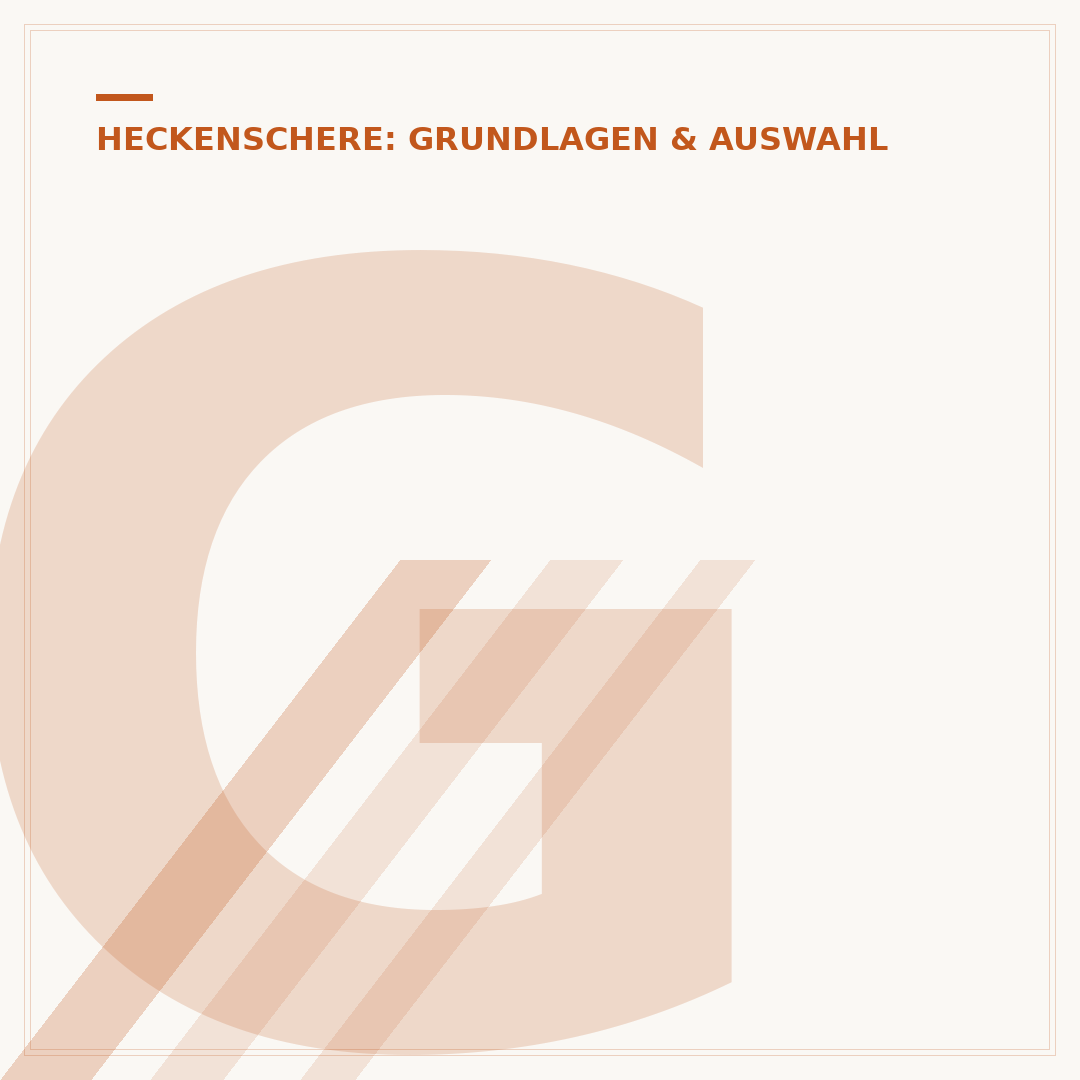 Gebrauchte Stihl Heckenschere