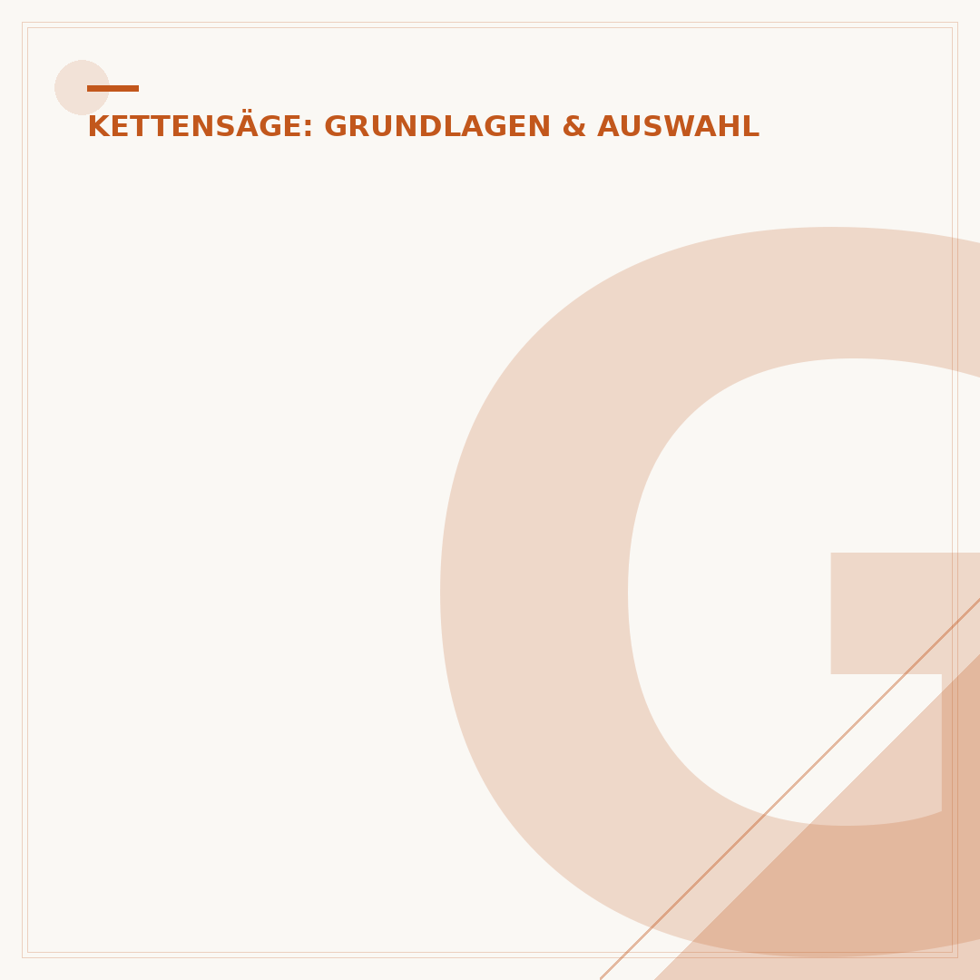 Gebrauchte Kettensäge: Worauf beim Kauf achten?