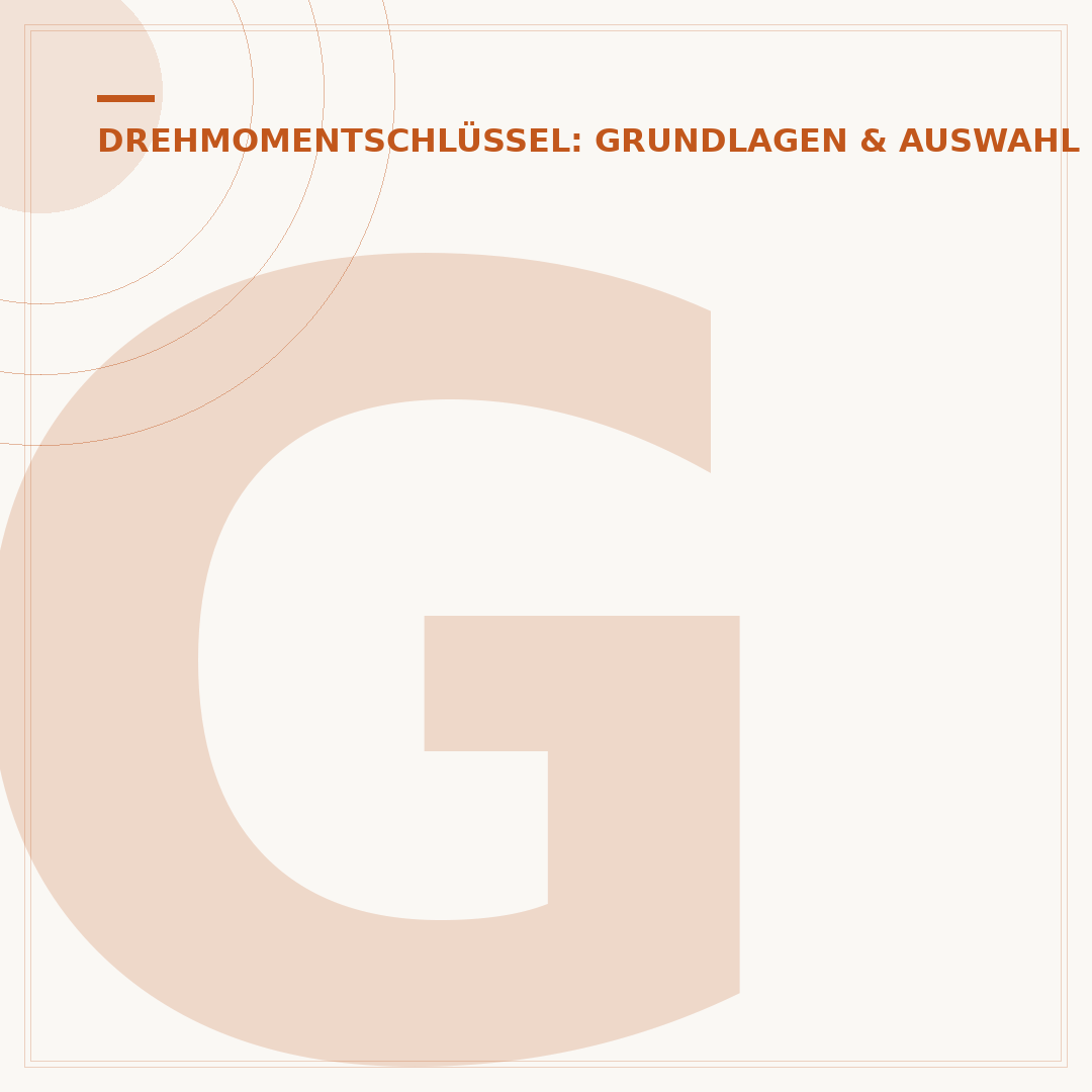 Gedore Red Drehmomentschlüssel