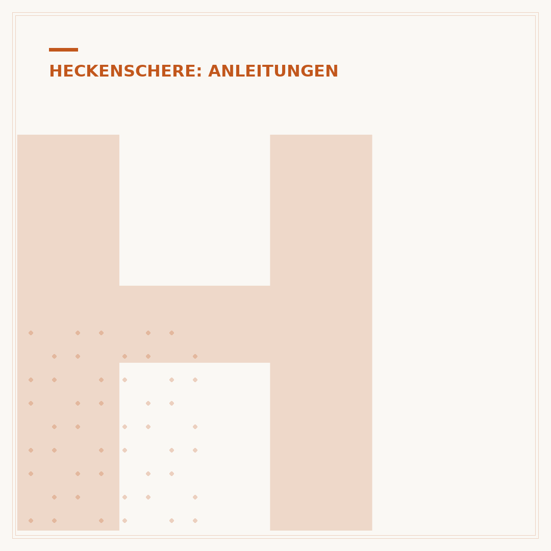 Heckenscheren-Antrieb reparieren