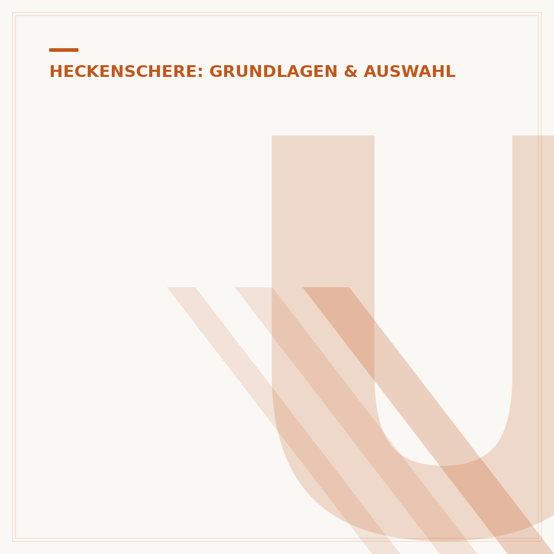 Ungewöhnliches Klappern im Messergetriebe der Heckenschere