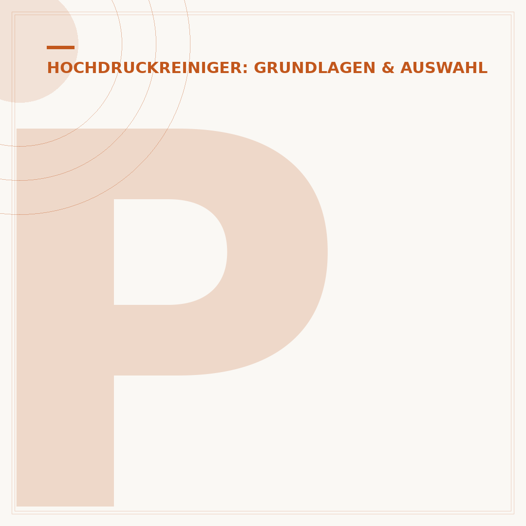 Pflasterfugen mit dem Hochdruckreiniger ausspülen