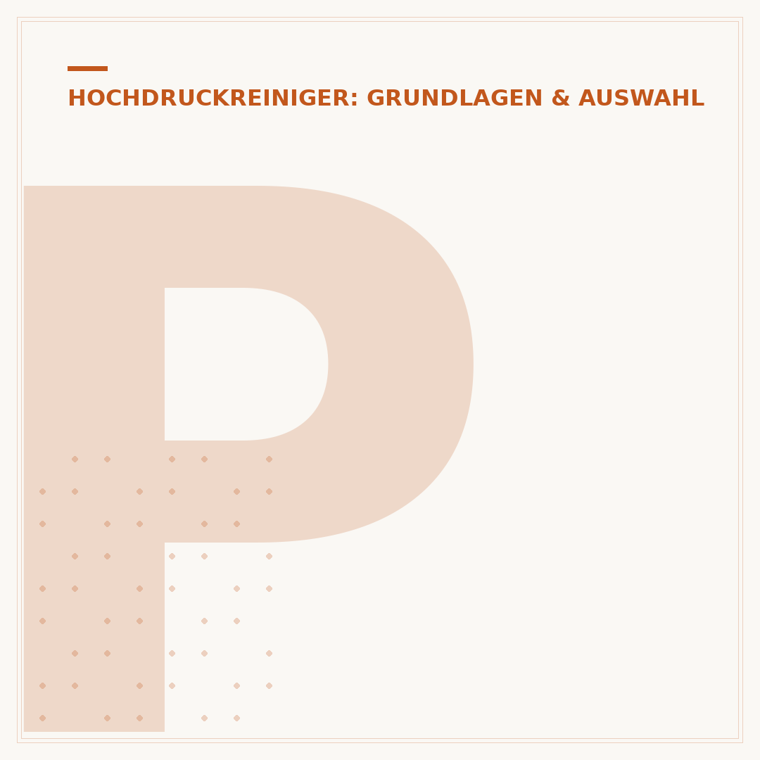 Profi-Hochdruckreiniger