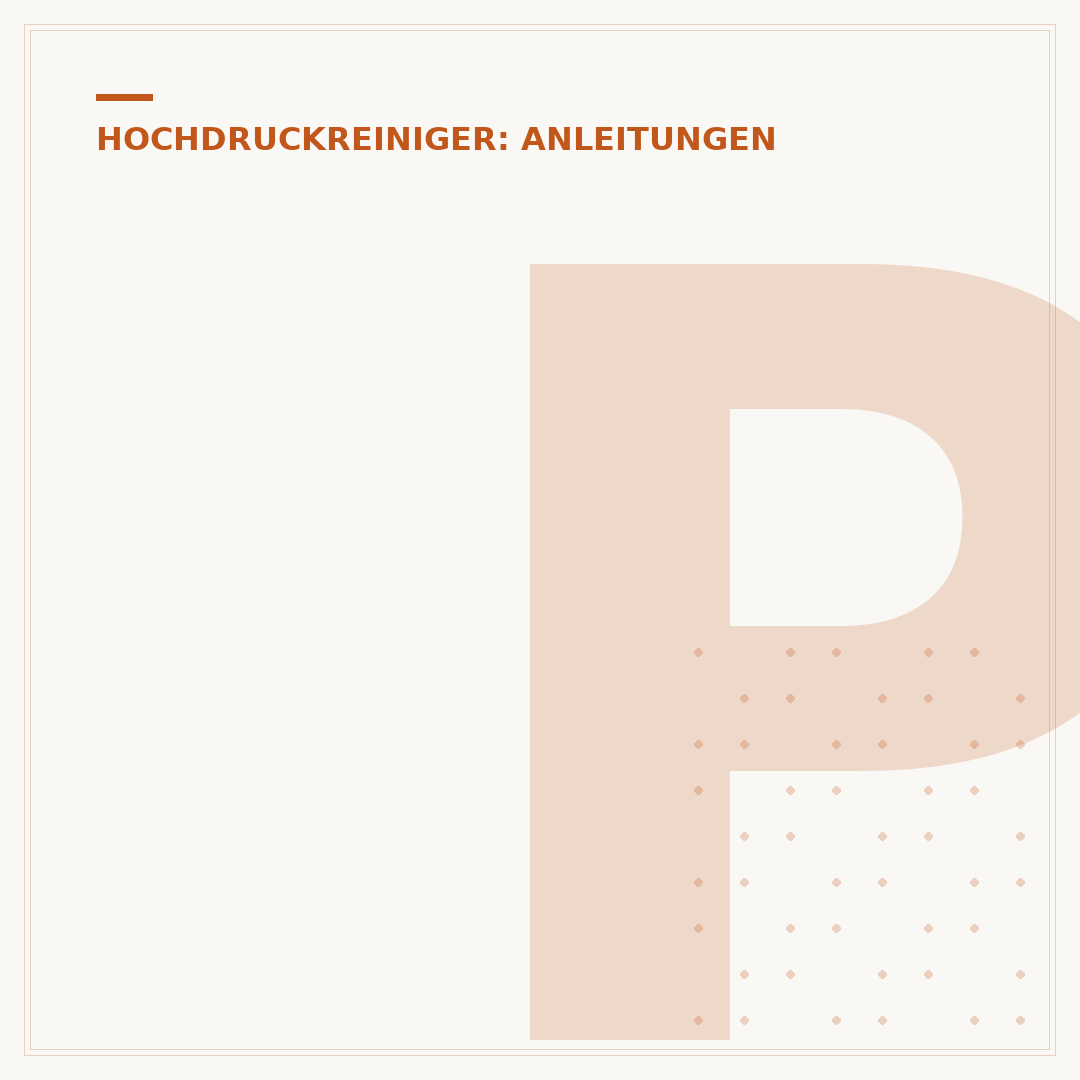 Pumpe des Hochdruckreinigers reinigen