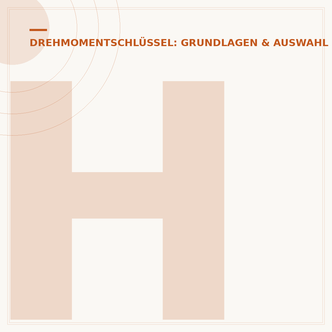 Holex Drehmomentschlüssel