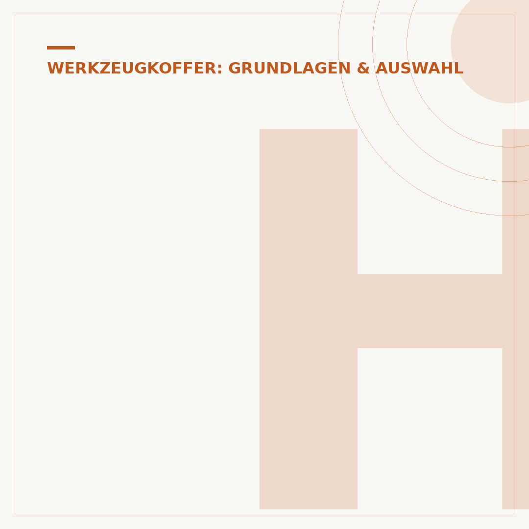 Holex Werkzeugkoffer: Qualität und Organisation für Profis