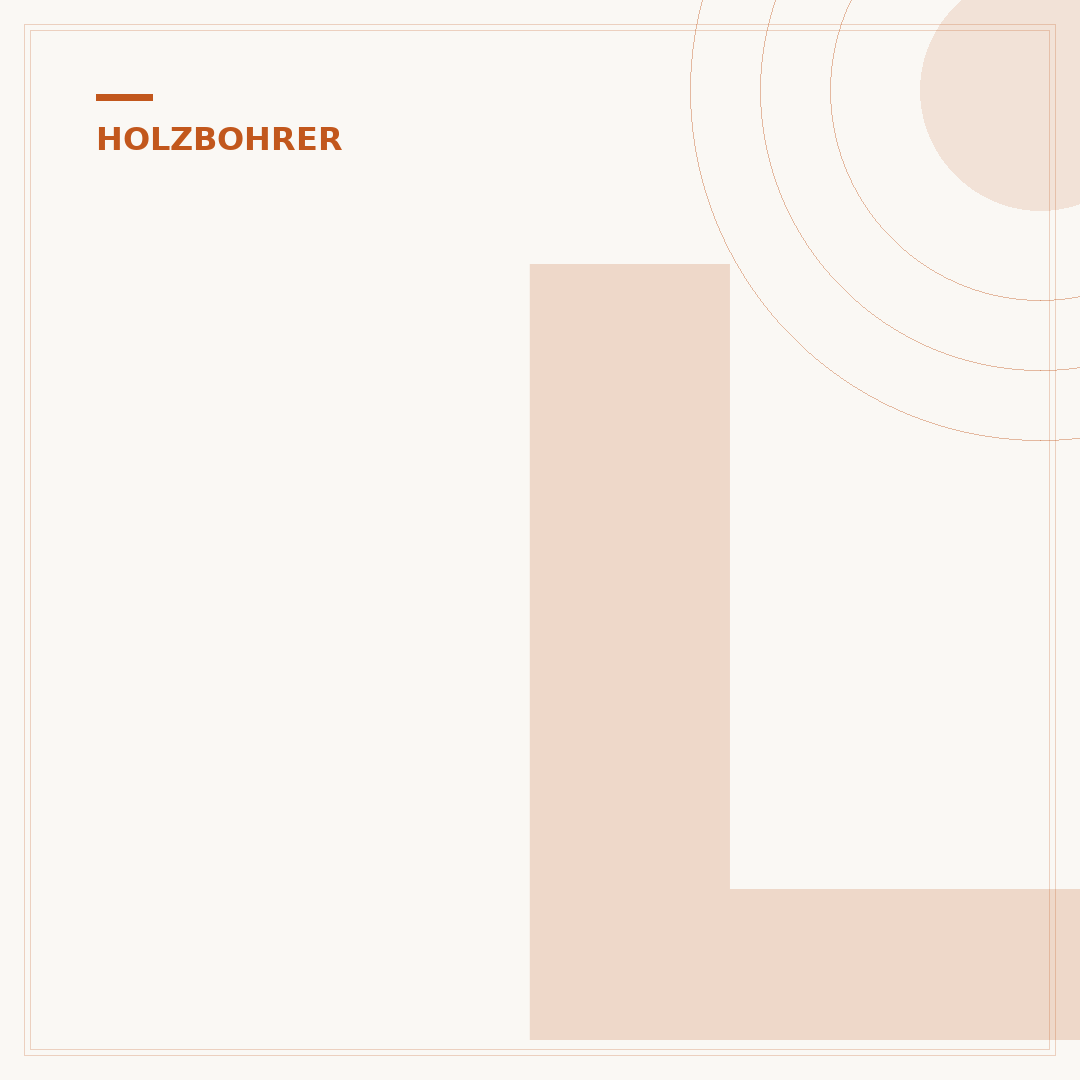 Lange Holzbohrer