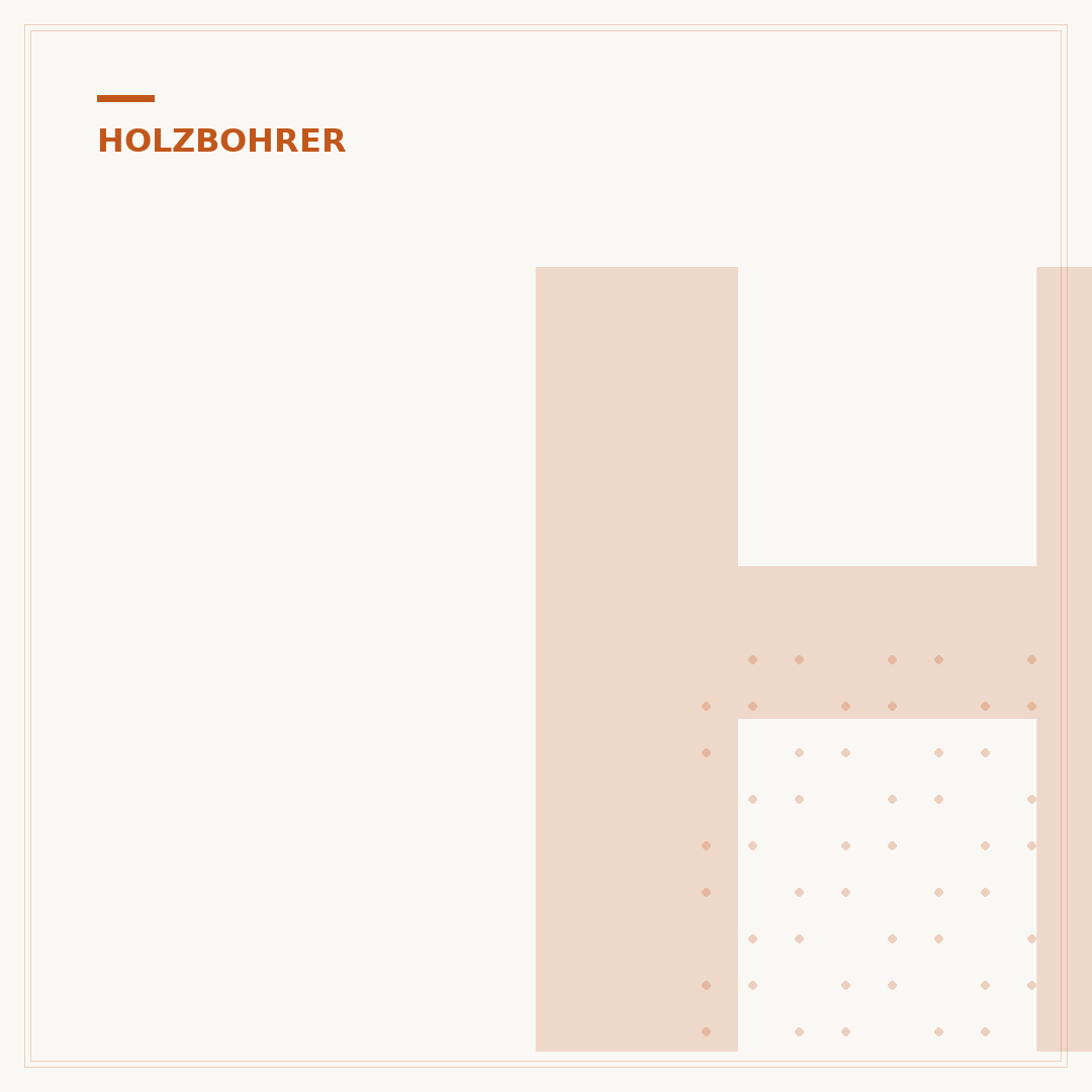 Holzbohrer mit Senker: Funktion, Auswahl & Anwendung