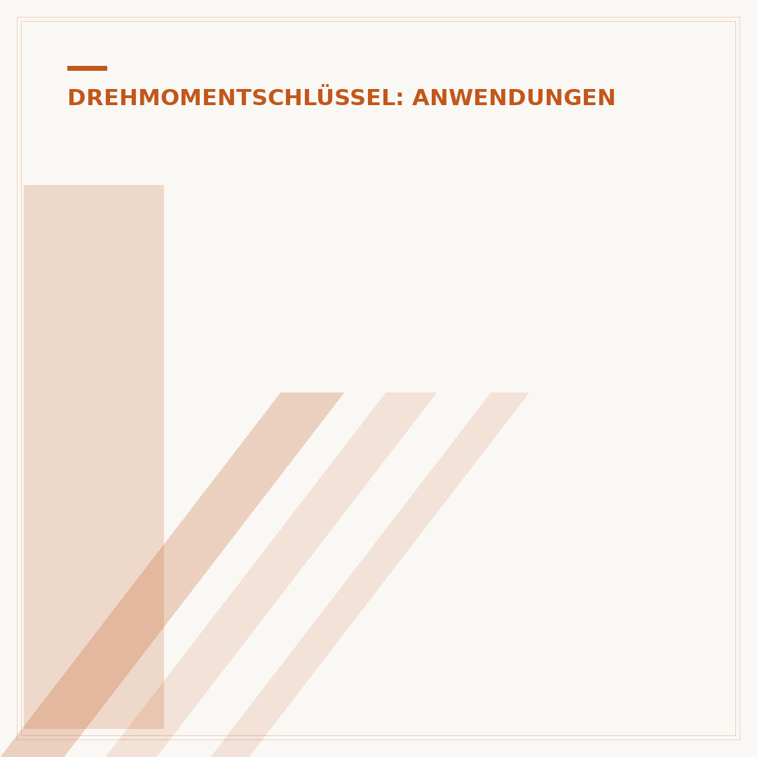 Inbus Drehmomentschlüssel