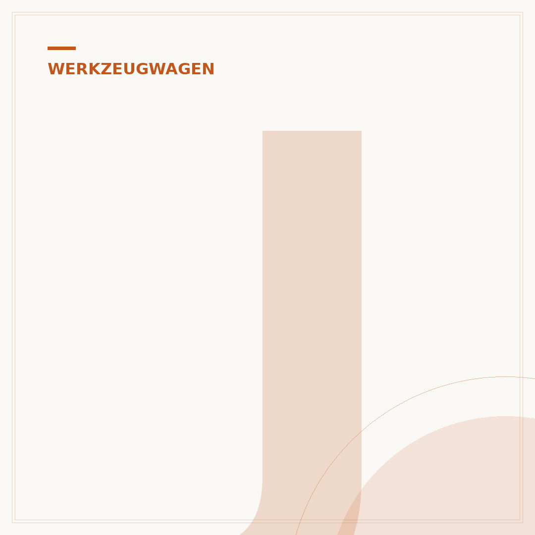 Jungwille Werkzeugwagen: Qualität für Werkstatt & Profi