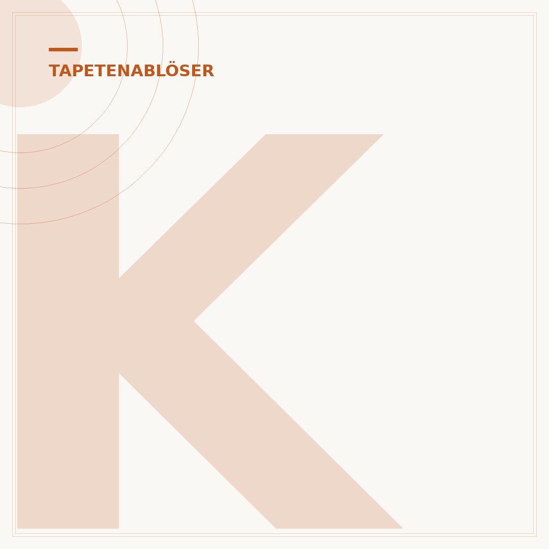 Kärcher Tapetenlöser