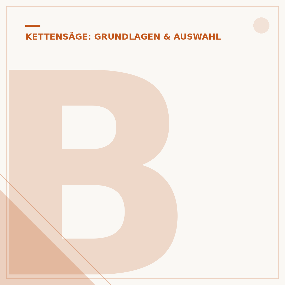 Beste Kettensäge bis 300 Euro: Kaufberatung & Modelle