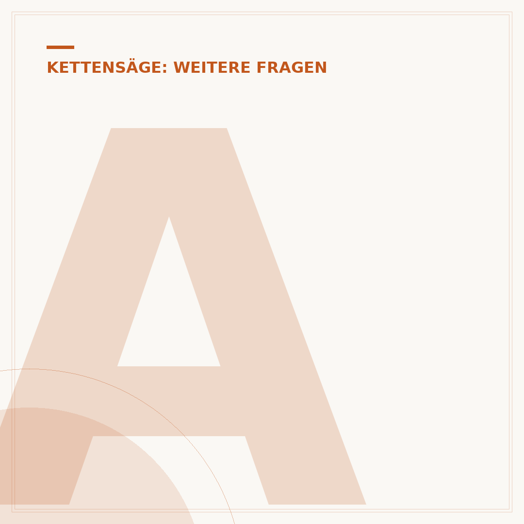 Aufbau der Kettensäge
