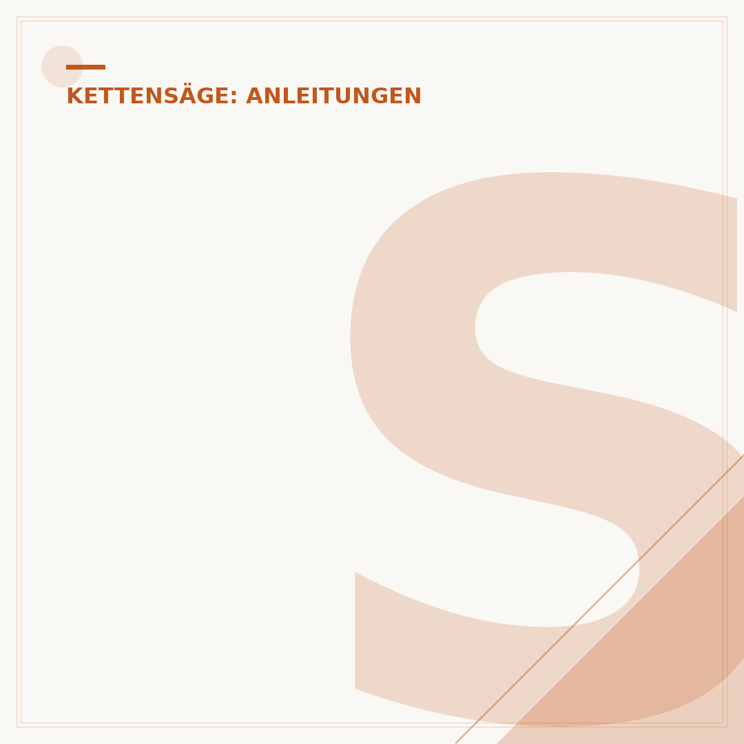 Seilzugstarter der Kettensäge reparieren