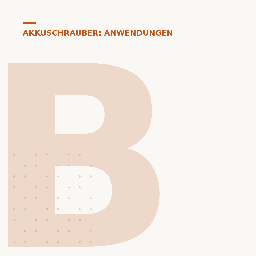 Bosch Akkuschrauber Koffer: Schutz & Organisation