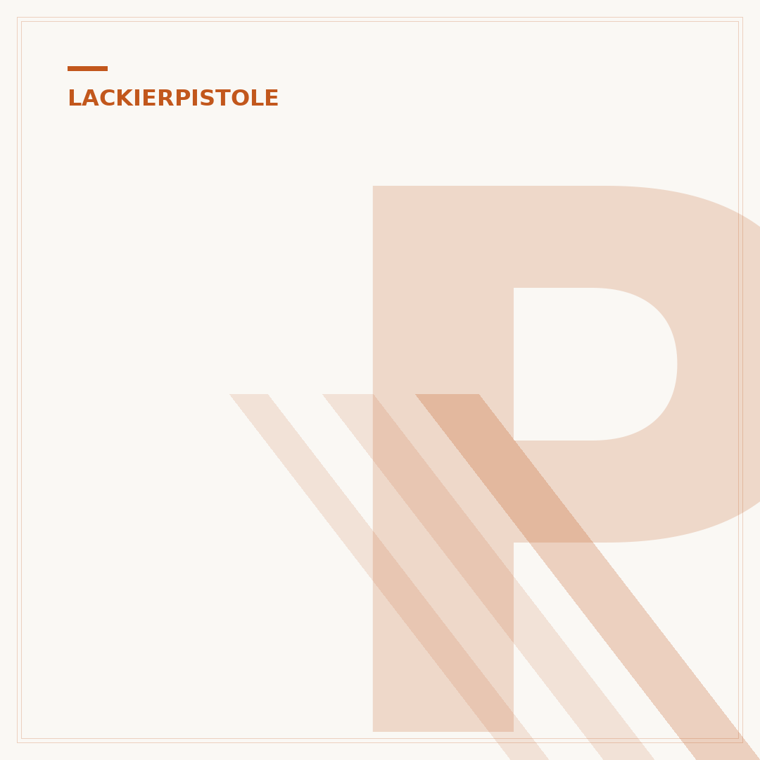Profi-Lackierpistole