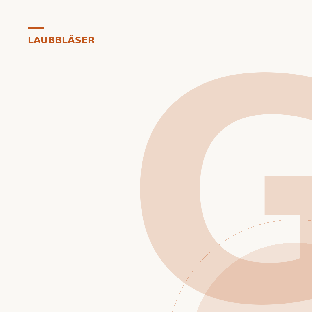 Gebläserad des Laubbläsers reinigen