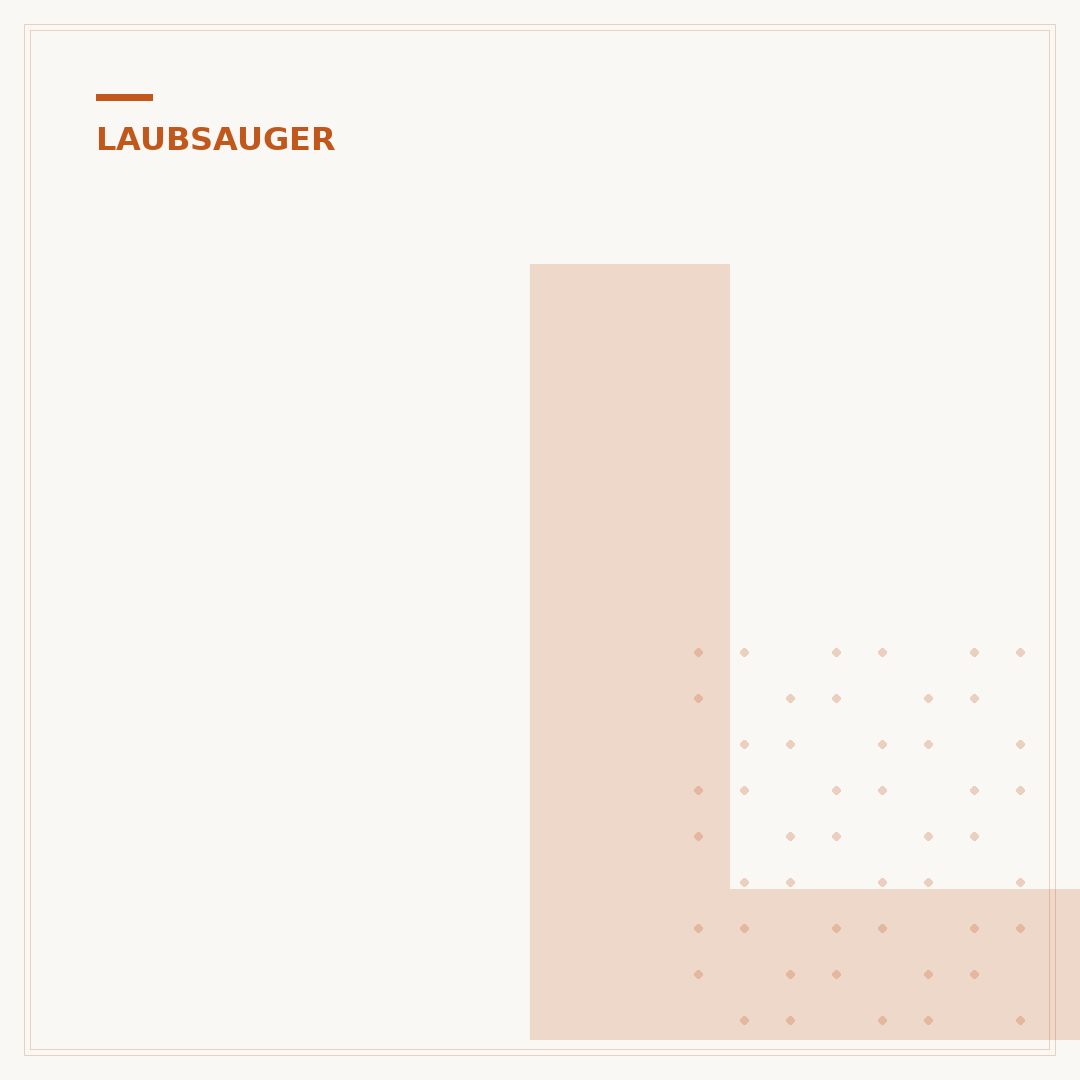Leisester Laubsauger