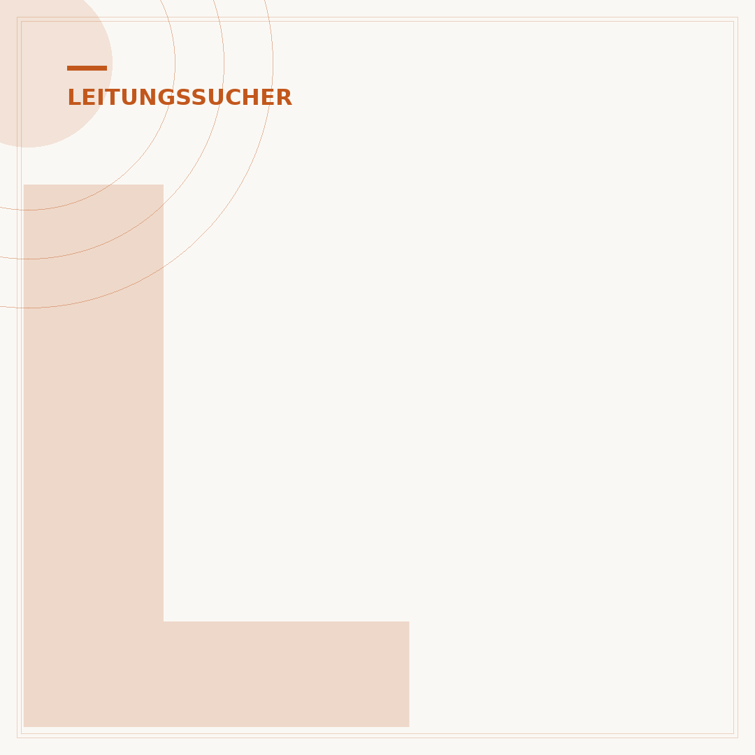 Leitungssucher für Wandmaterial mit altem Putz
