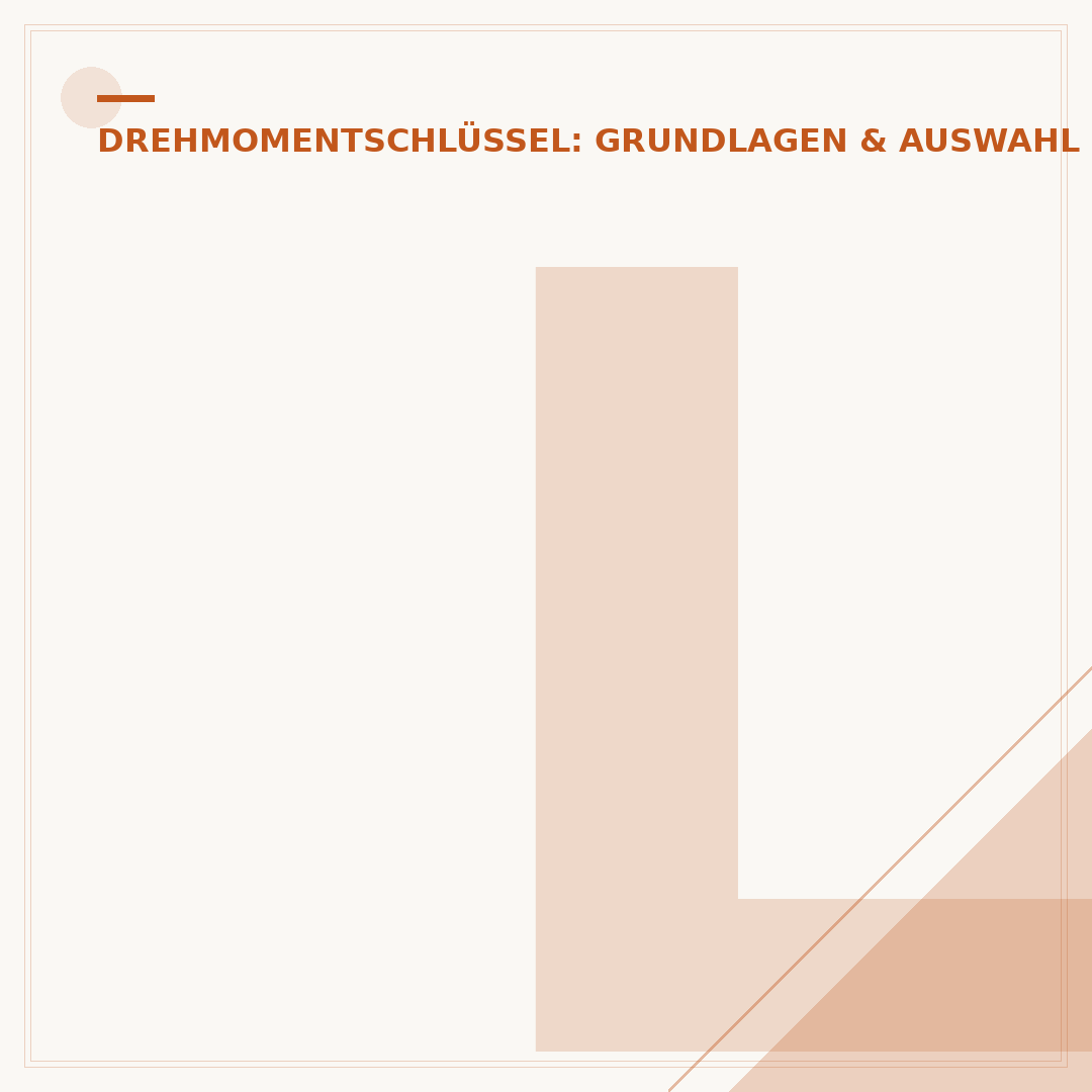 Lux Drehmomentschlüssel