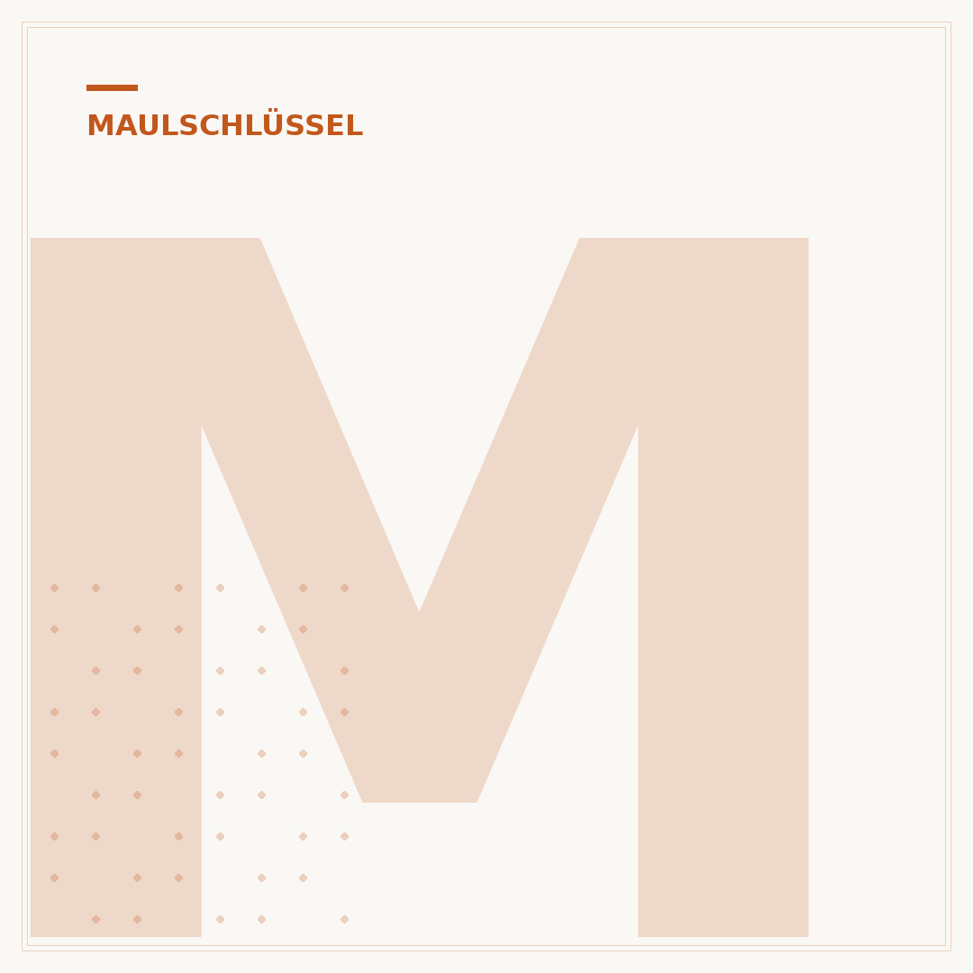 Maulschlüssel 36 mm
