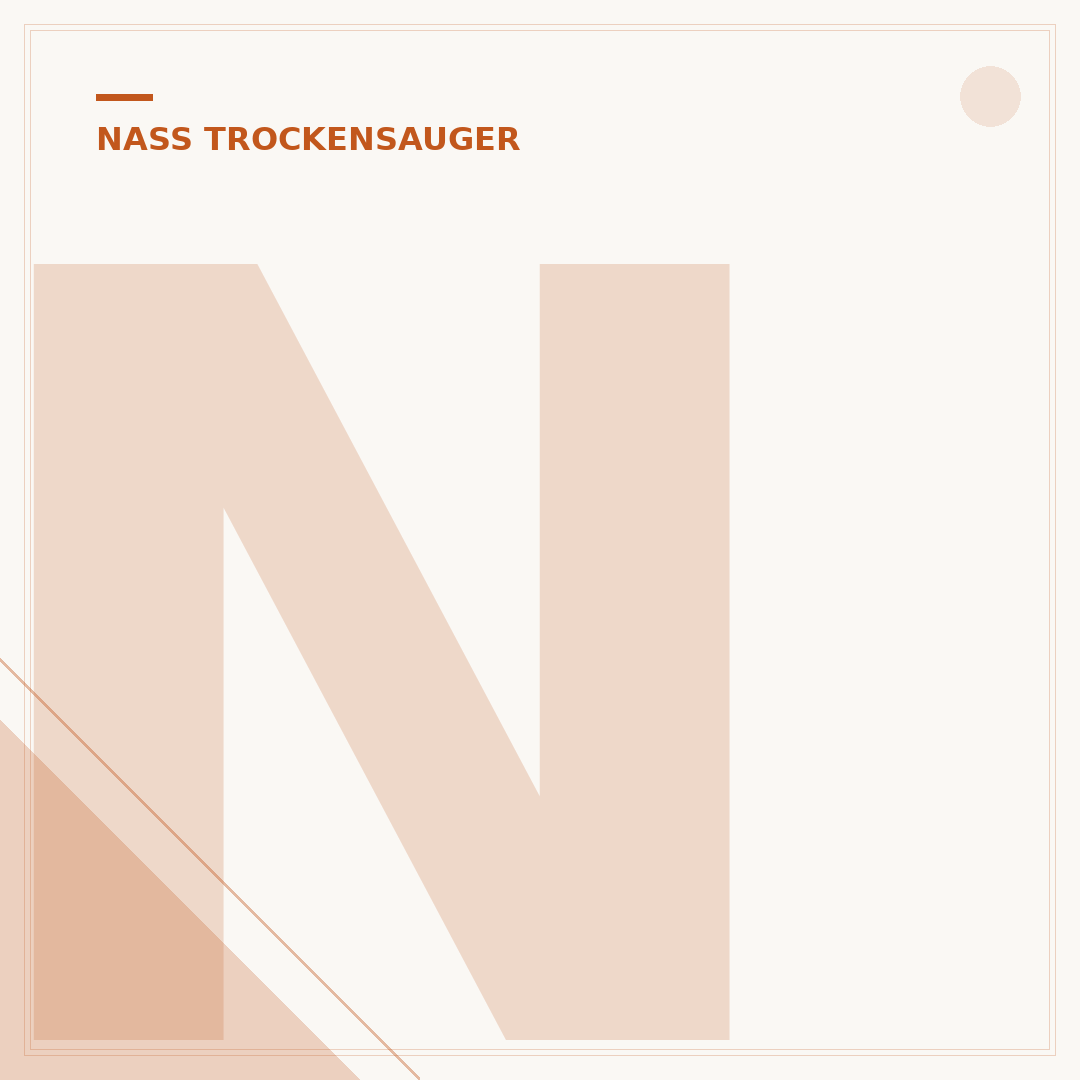 Nass-Trockensauger kabellos