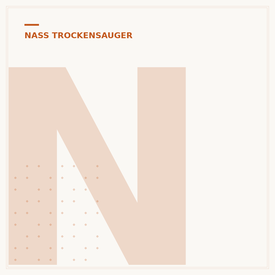 Nass-Trockensauger für Zuhause