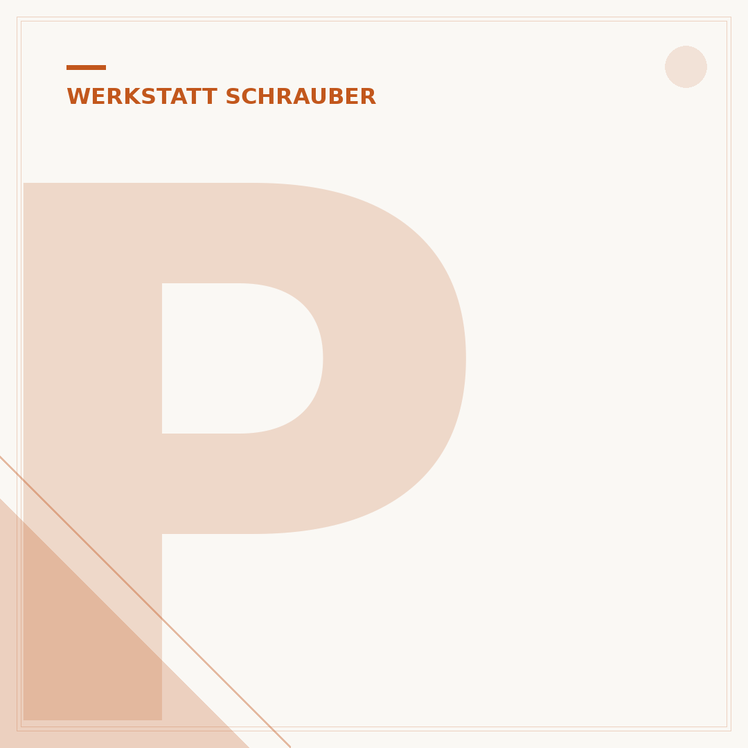 Parkside Performance Bohrhammer
