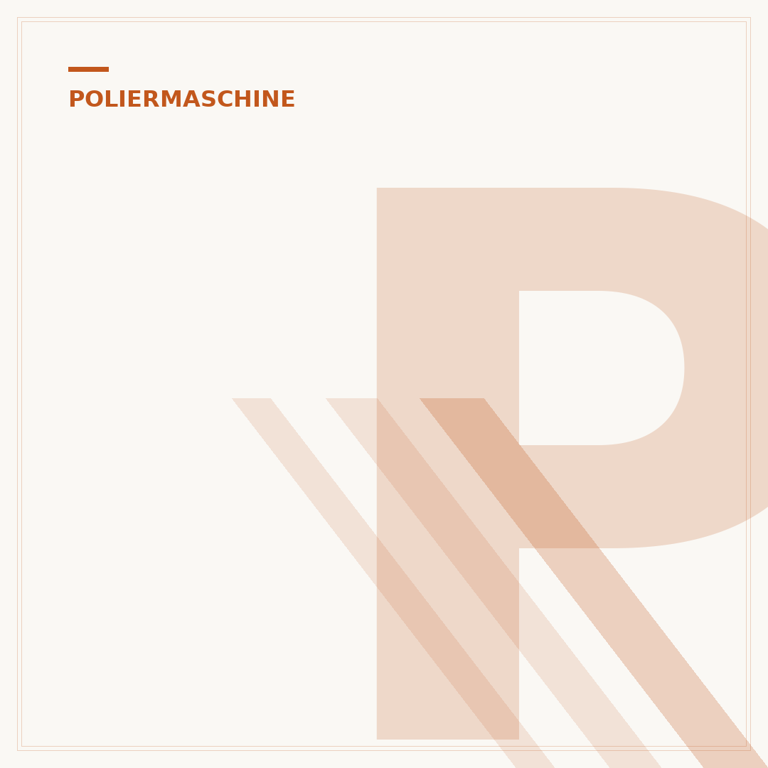 Profi-Poliermaschine