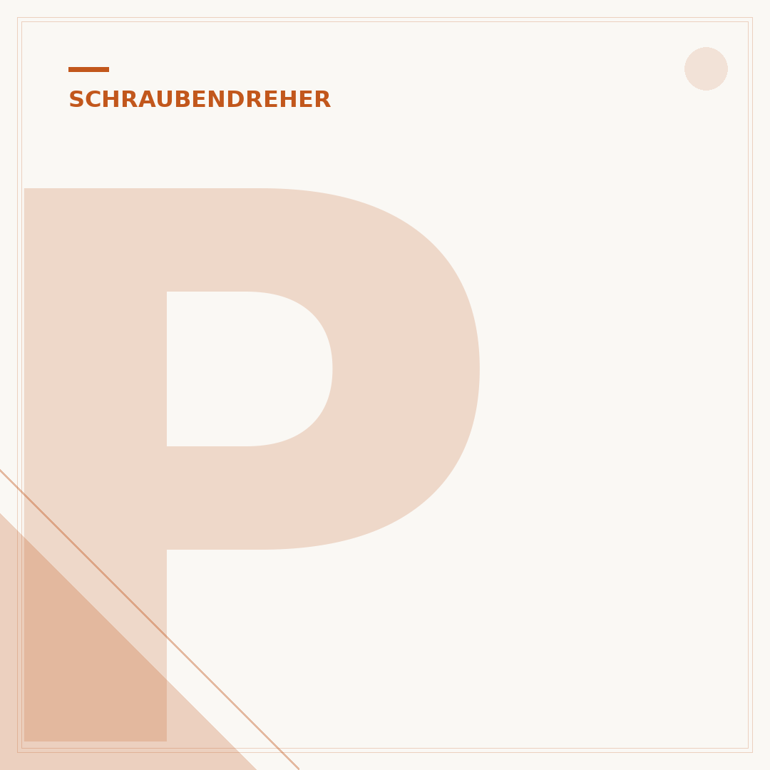 Pozidriv Schraubendreher