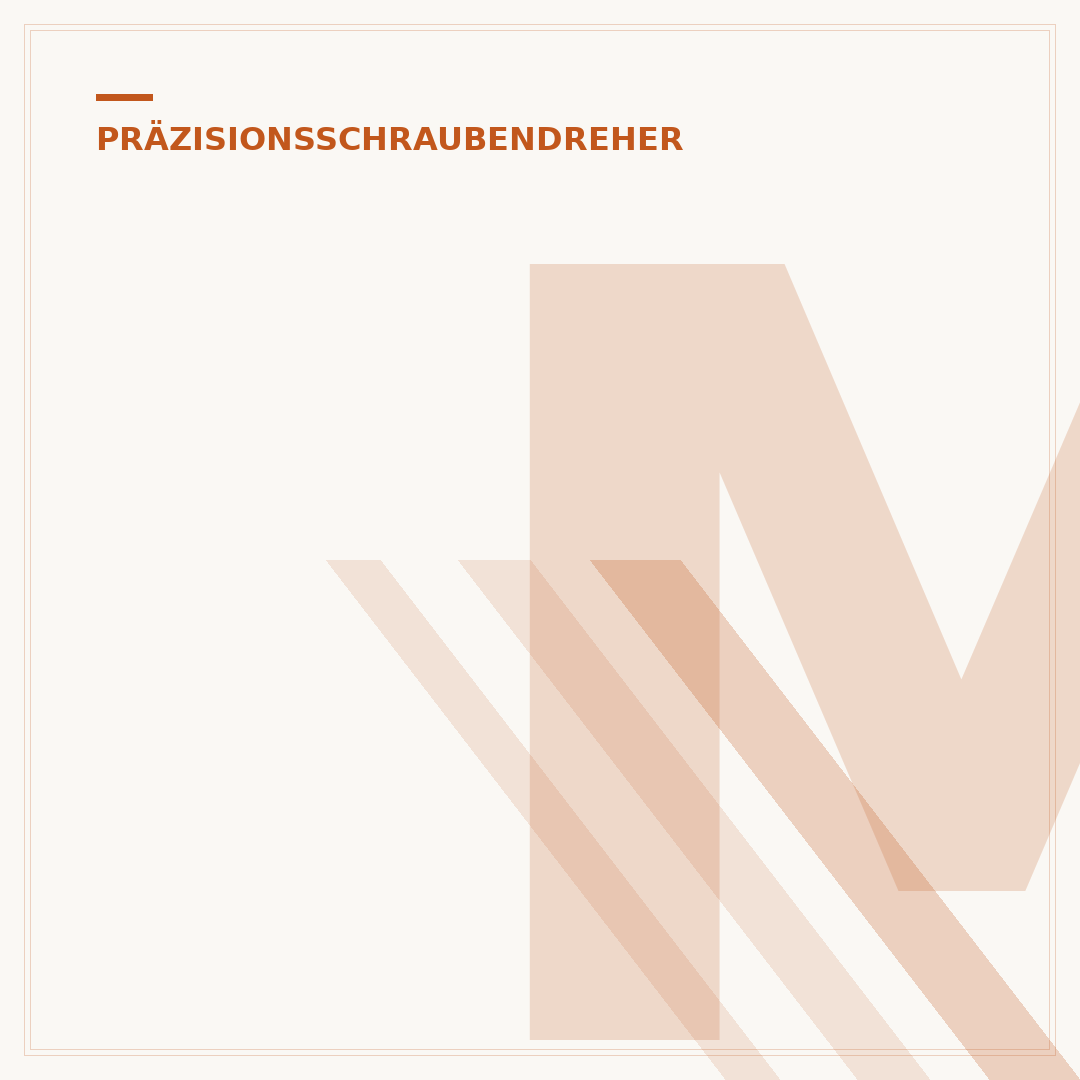 Magnetisierung von Präzisionsschraubendreher-Bits