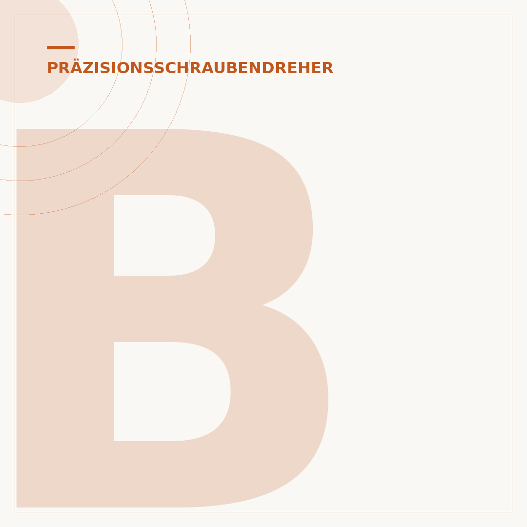 Bit des Präzisionsschraubendrehers wechseln