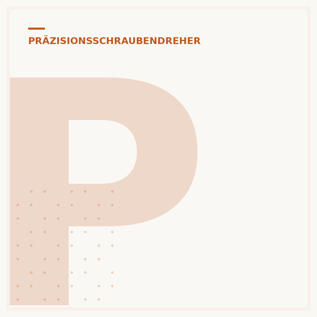 Präzisionsschraubendreher Set: Der Leitfaden für Werkzeuge