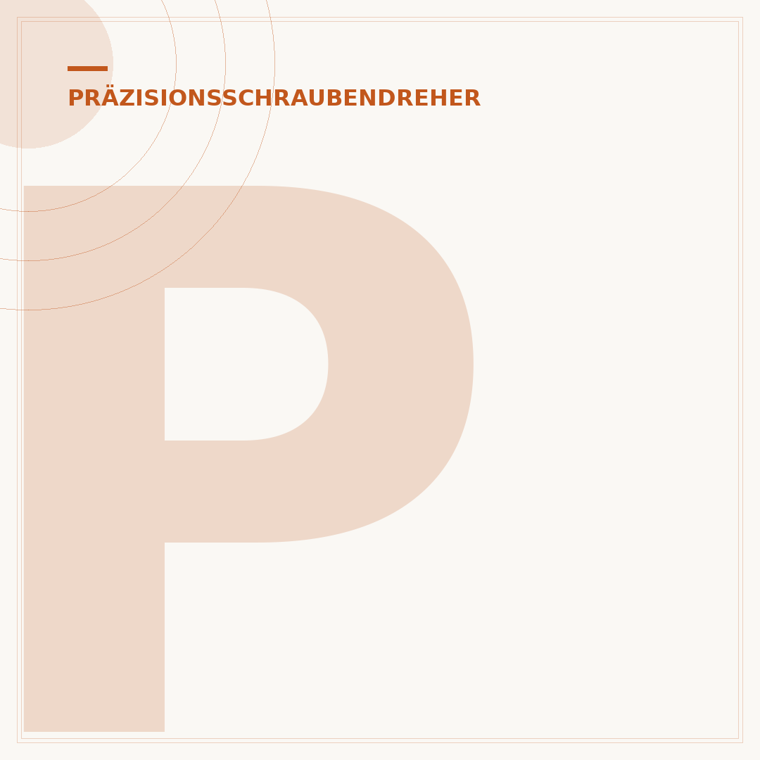 Präzisionsschraubendreher