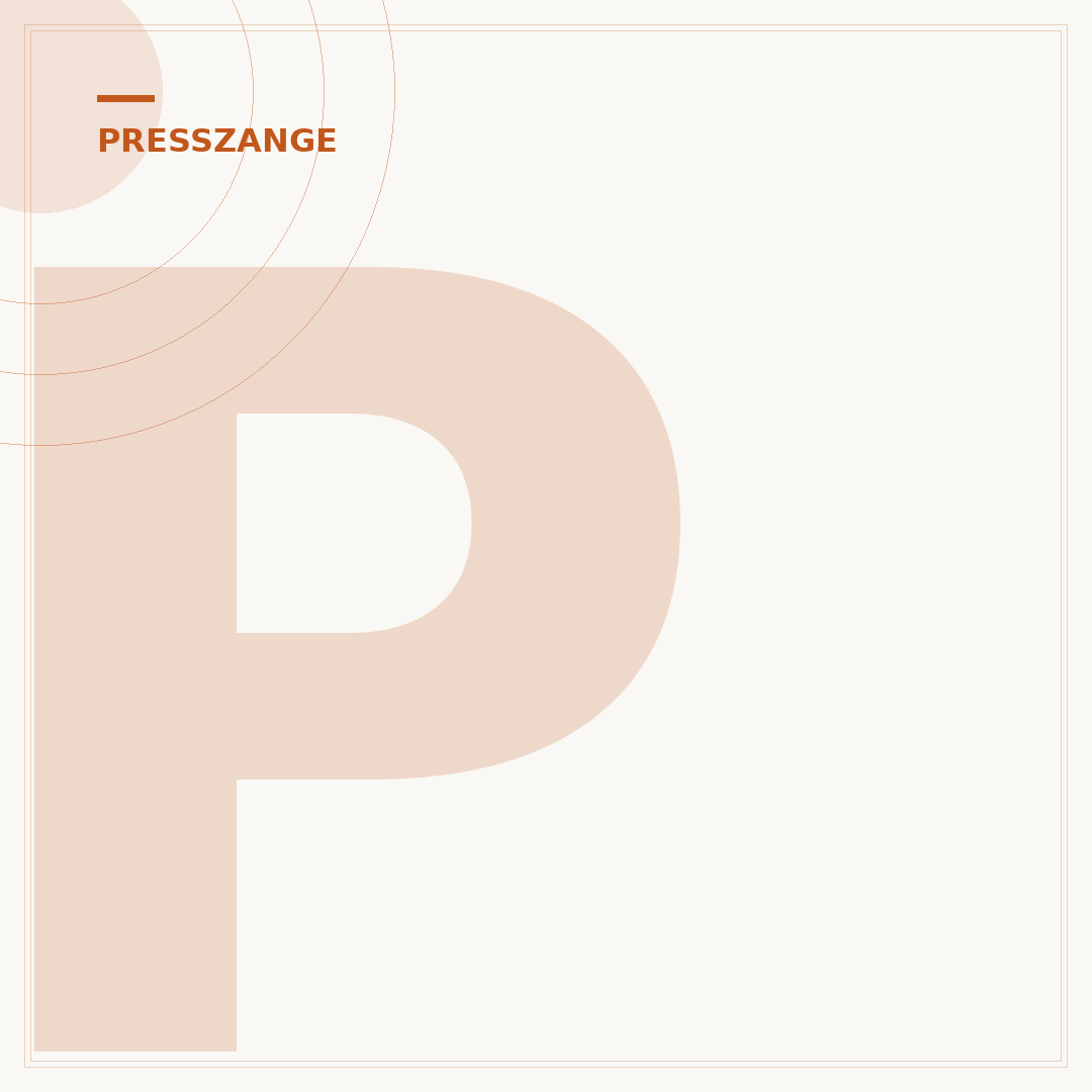 Presszange für Wasserleitungen