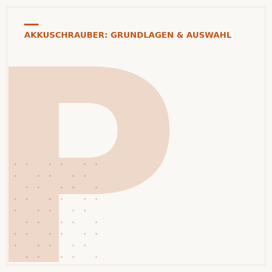 Profi-Akkuschrauber