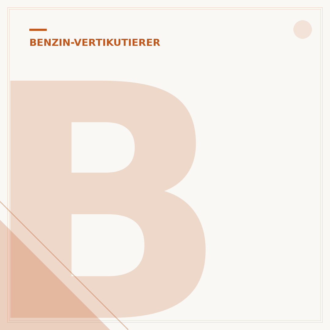 Benzin Rasen Vertikutierer: Kaufberatung & Vergleich