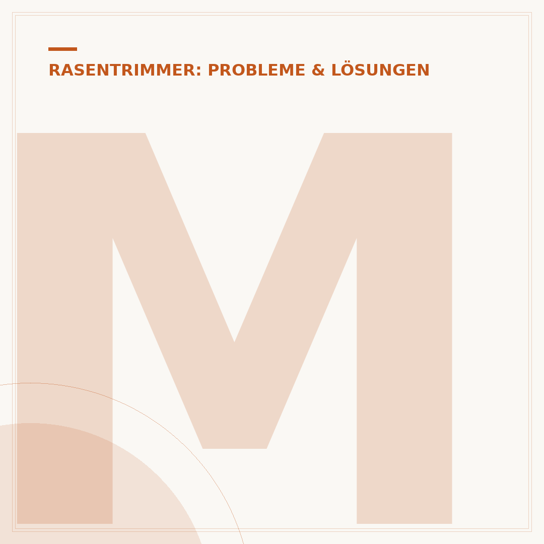 Motor des Rasentrimmers macht Geräusche