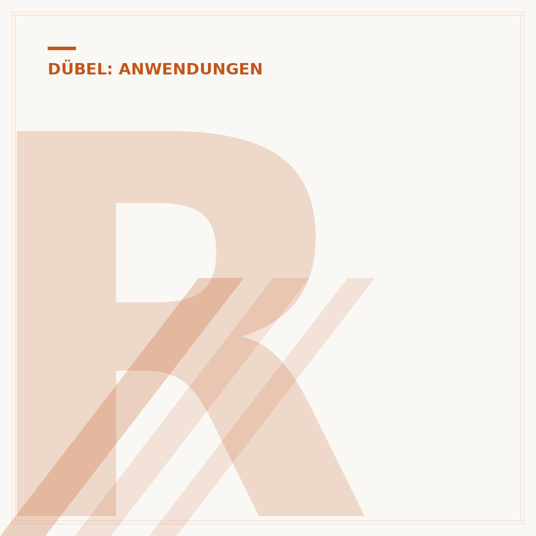 Rigips-Dübel für schwere Lasten