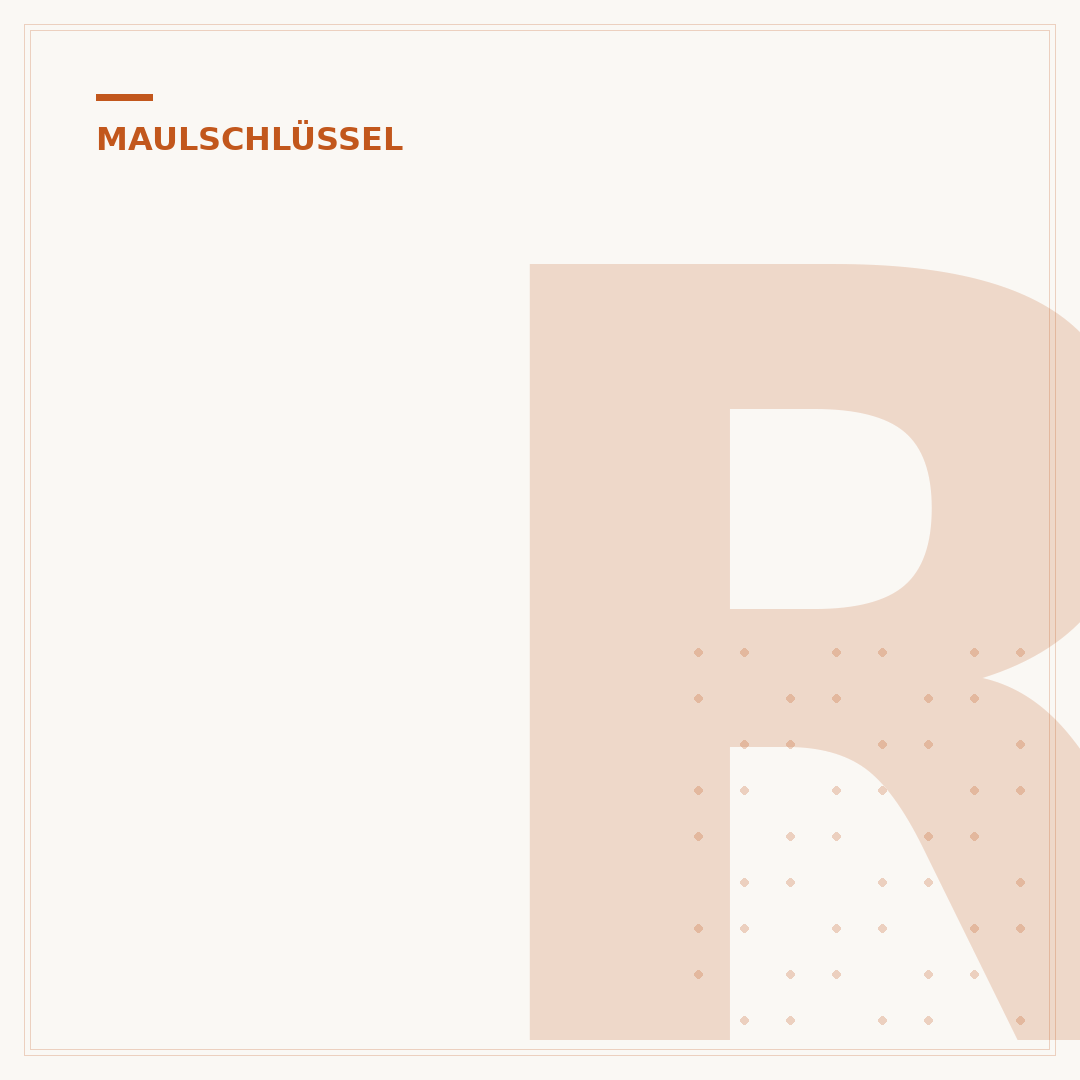 Ring-Maulschlüssel mit Ratsche