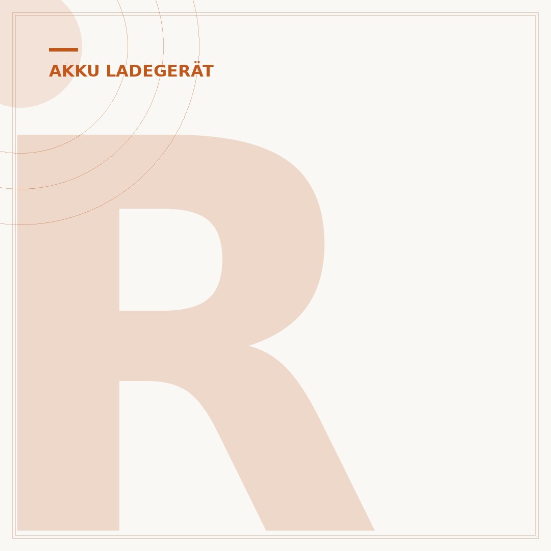 Ryobi Akku-Ladegerät