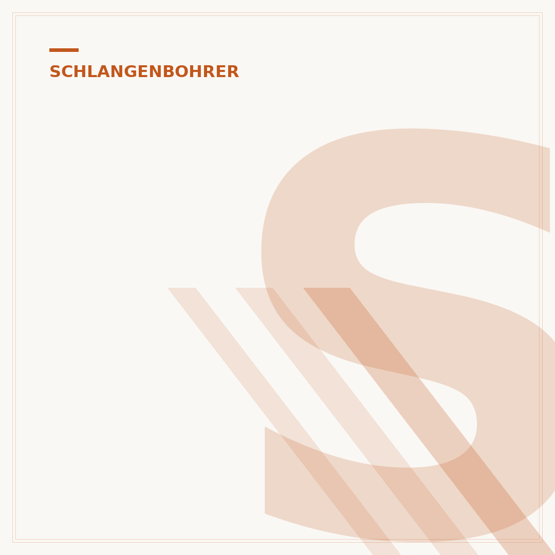 Schlangenbohrer Set: Anwendung, Auswahl und Pflege