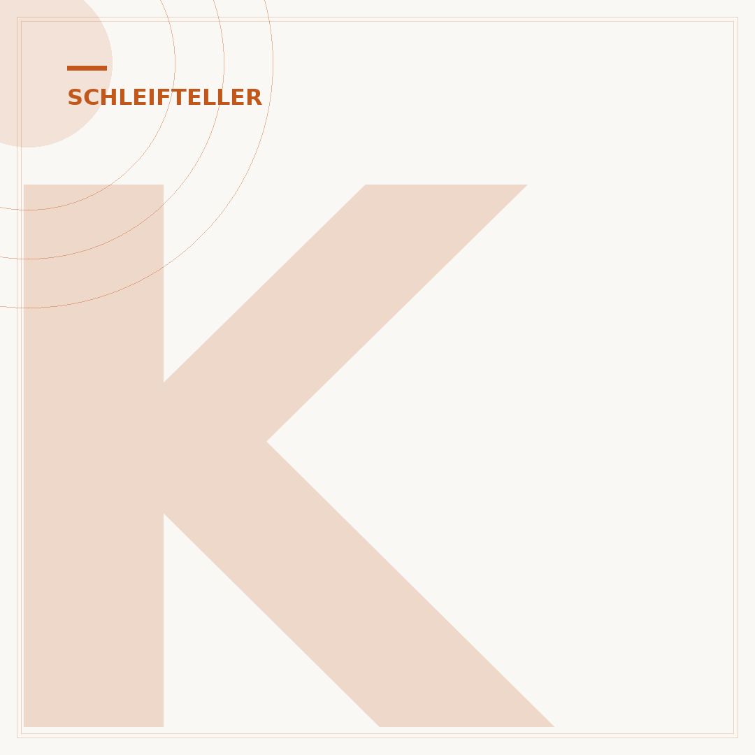 Klett des Schleiftellers reinigen