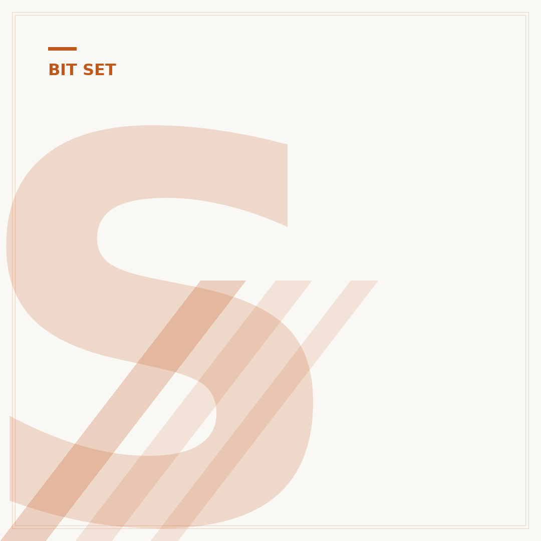 Schraubendreher-Bit-Set