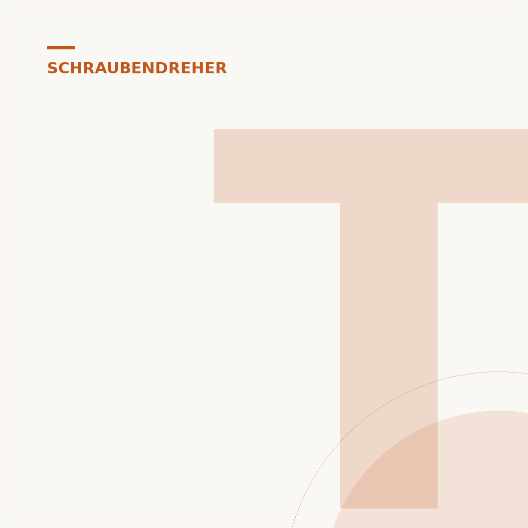 Torx-Schraubendreher mit Loch