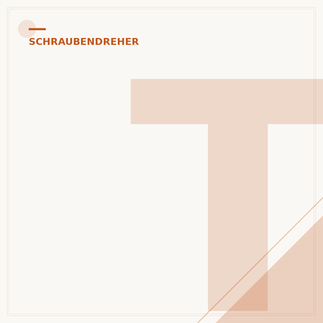 Torx-Schraubendreher für runde Schraubenköpfe