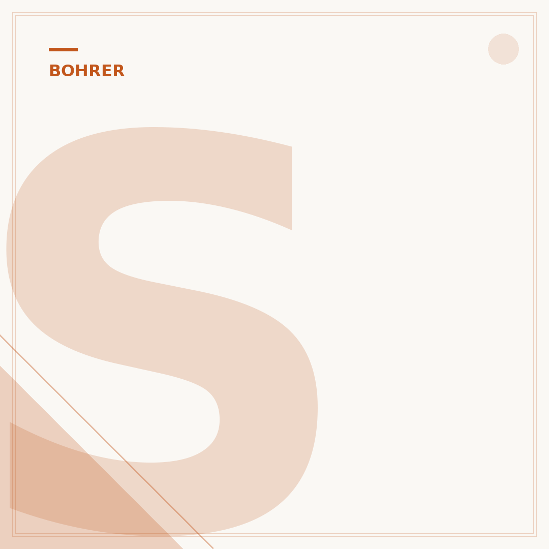 SDS Max Bohrer-Set