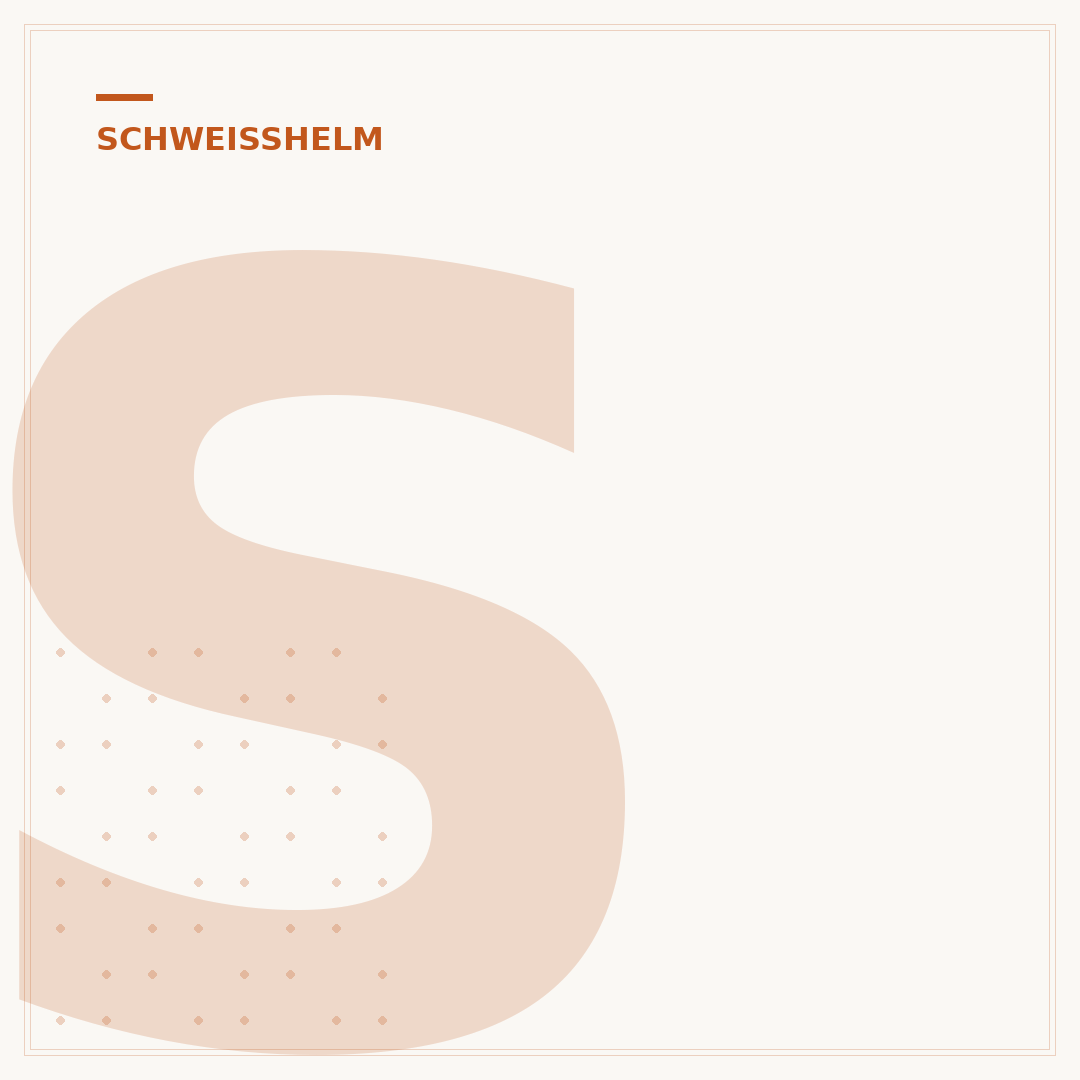 Speedglas Schweißhelm